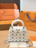 LOUIS VUITTON Capucines(27x18cm)( 20 x13cm)