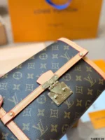 LOUIS VUITTON Dauphine MM(24x16cm)
