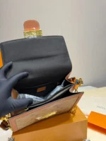 LOUIS VUITTON Dauphine MM (25x18cm)