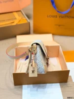 LOUIS VUITTON Dauphine MM (27cm)