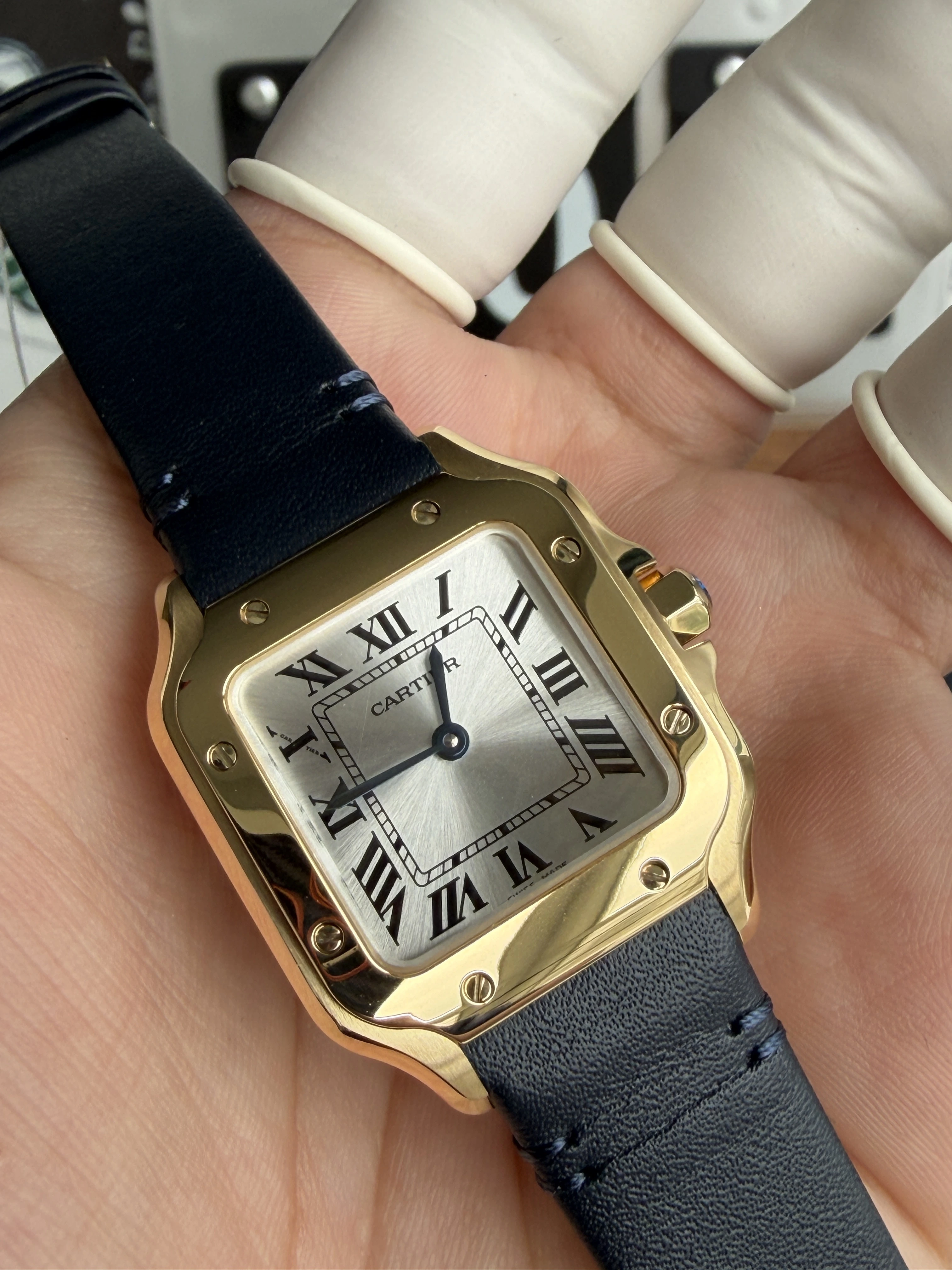 DR Factory, Santos （27mm×34mm×7mm）
